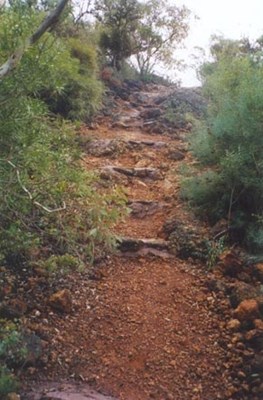 Mt Matilda - Mt Matilda Trail