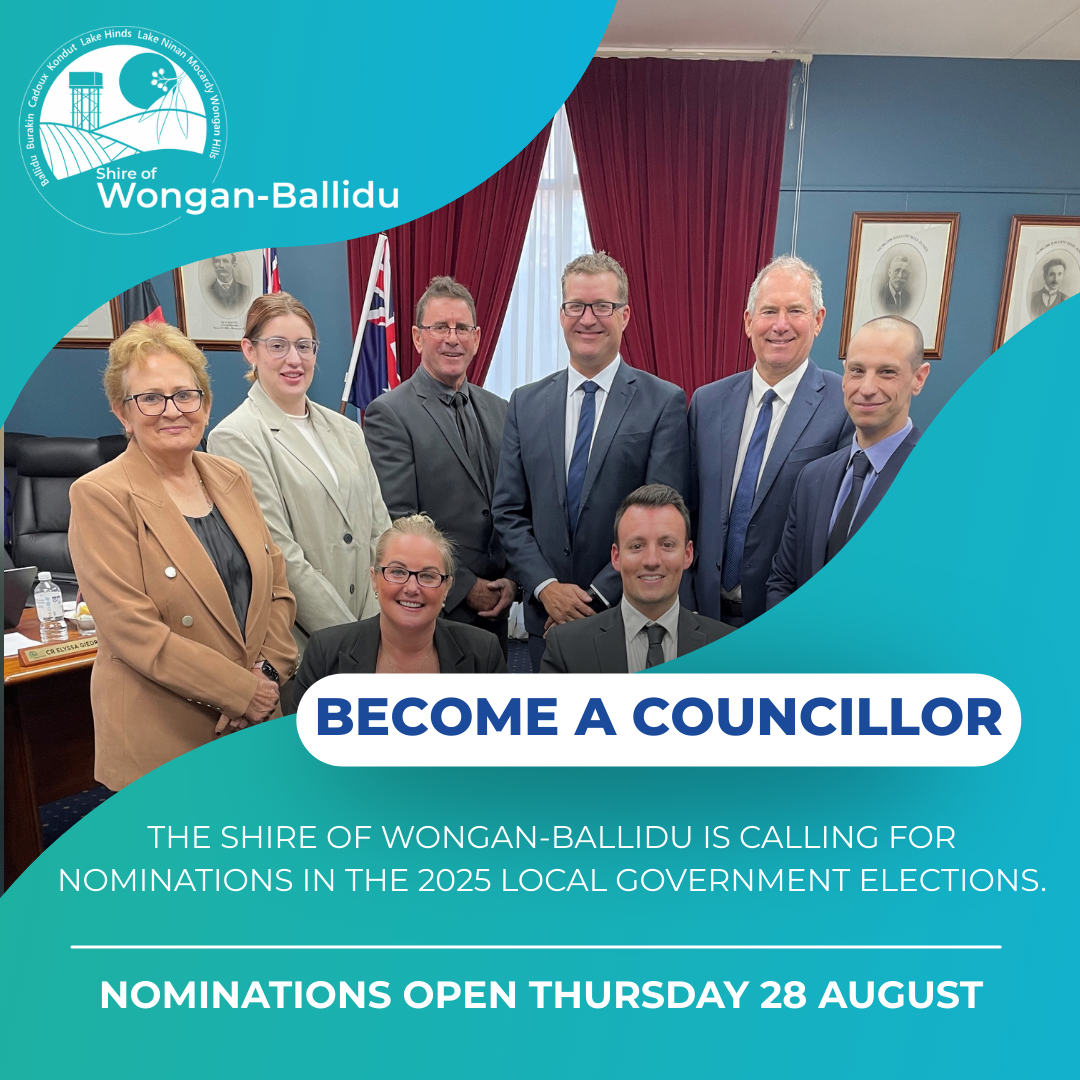 Become a Councillor