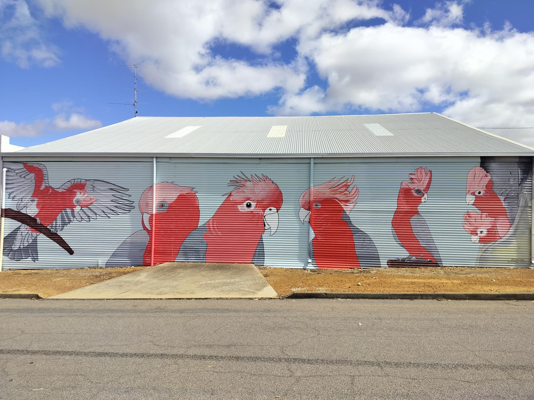 Local Colour: John Pauley's Galah Mural Brightens Wongan Hills