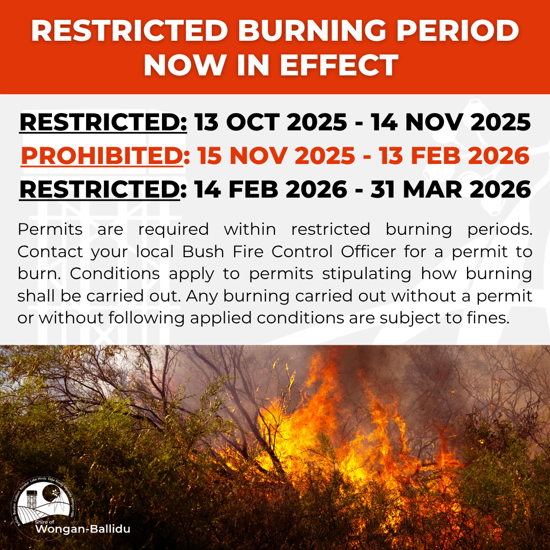 Restricted Burning Period Now in Effect