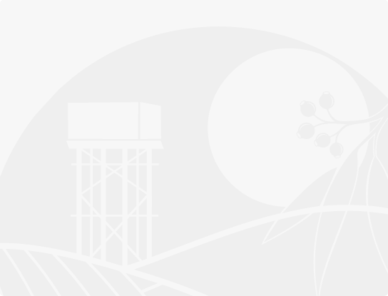 Draft Strategic Community Plan and Draft Disability Access and Inclusion