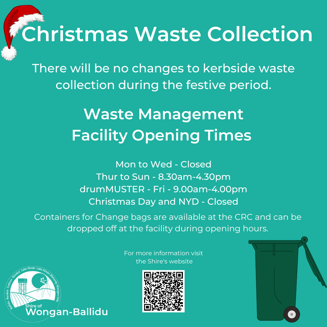 Festive Waste Collection